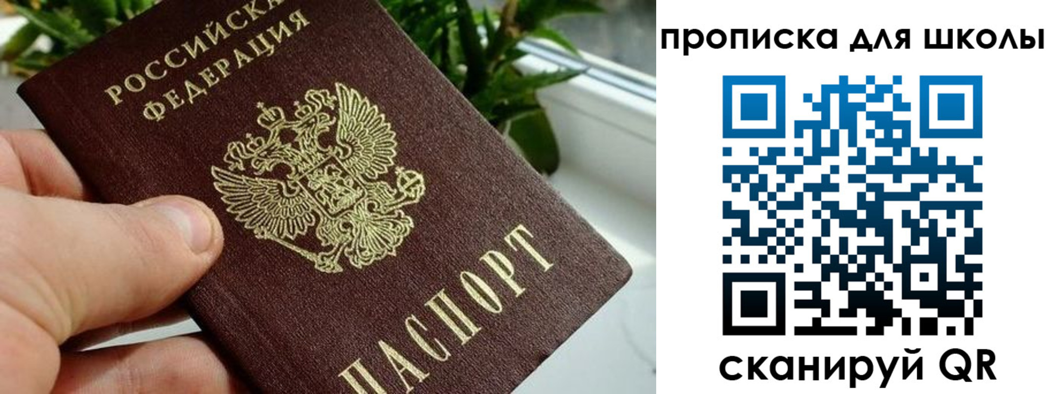 найти адрес прописки в Братске